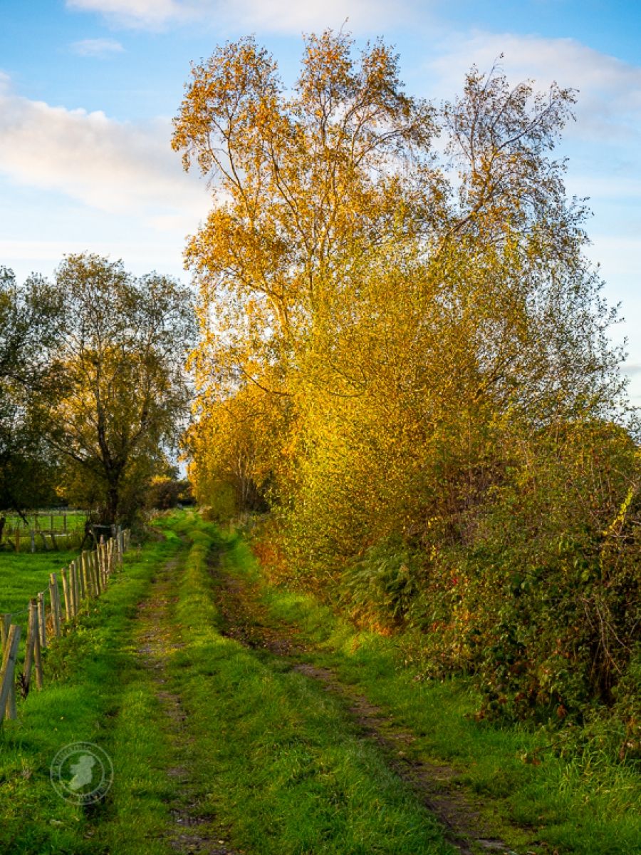 Autumn Colour on Ireland&#039;s Lanes