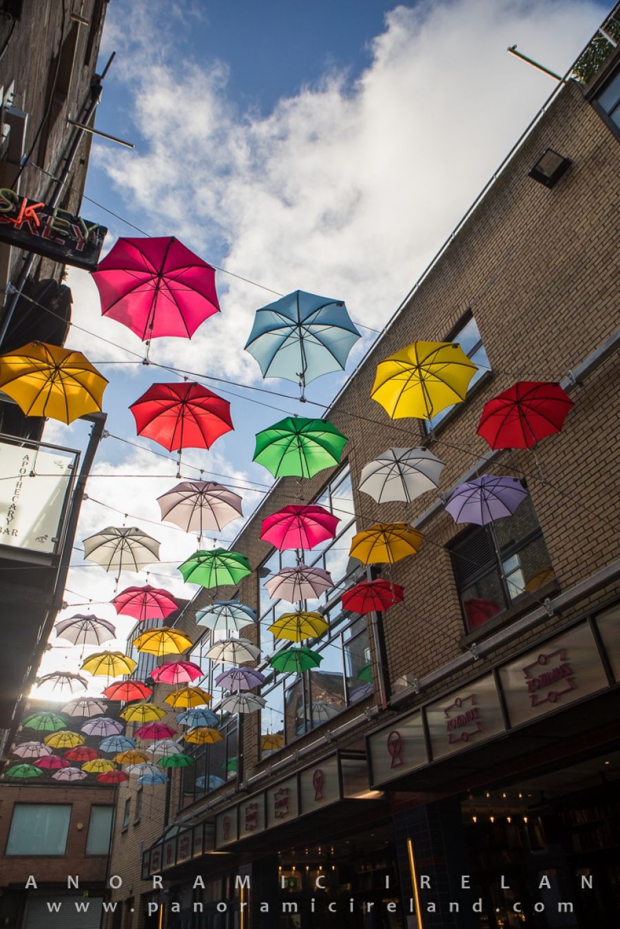 The Umbrellas, Dublin