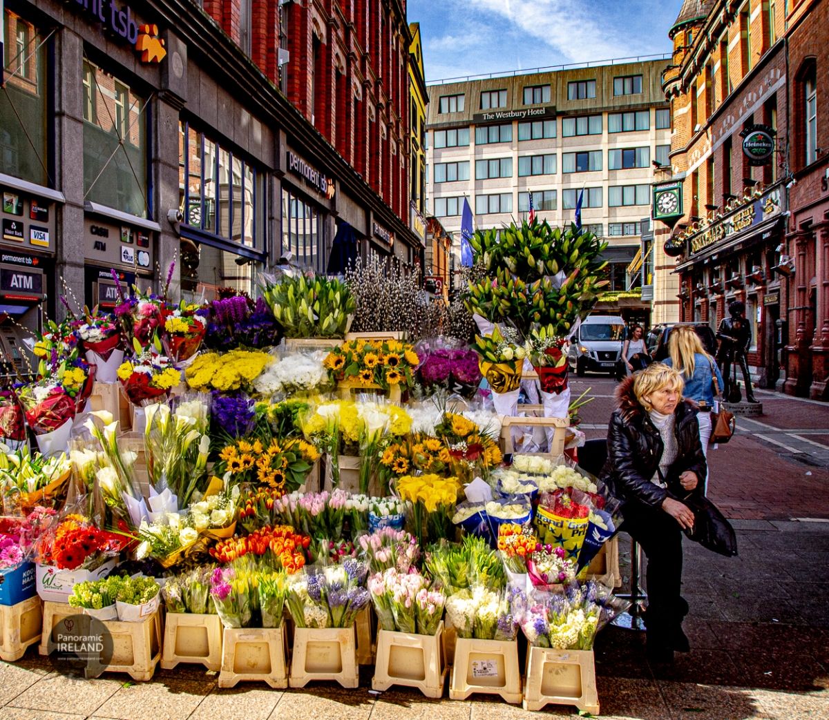 Flower Sellers of Grafton Street, Dublin