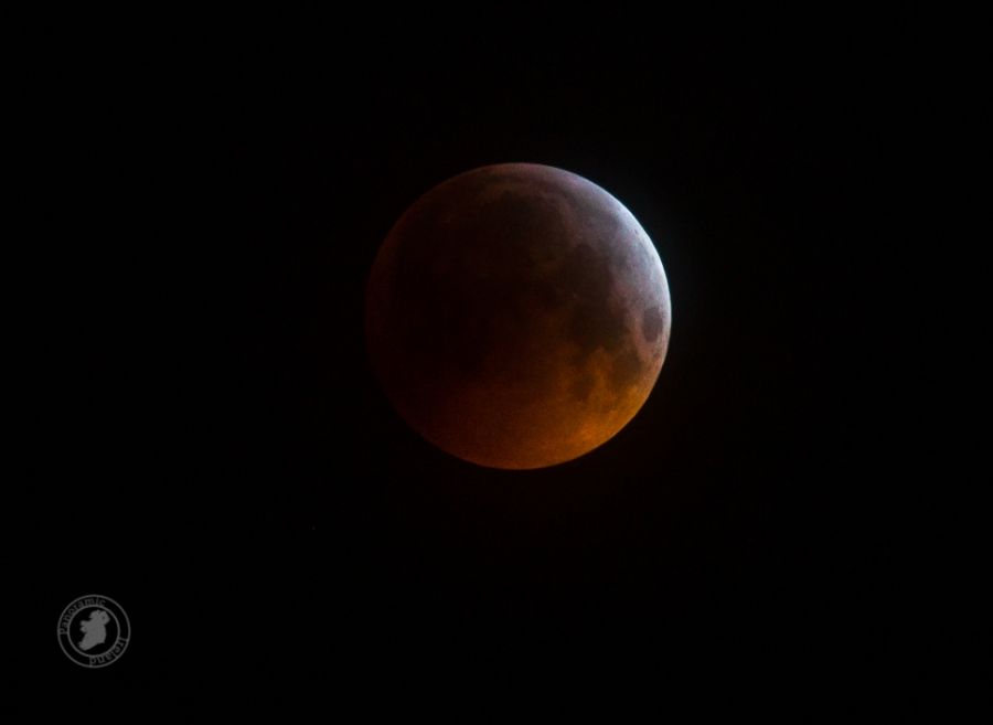 Lunar Eclipse, January 2019 as seen from Ireland