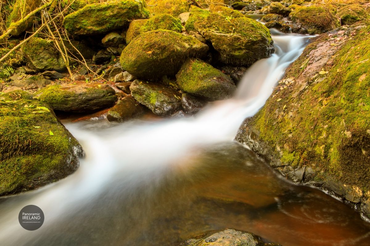Stream in Autumn - Fallen Leaves, Moss and Flowing Water