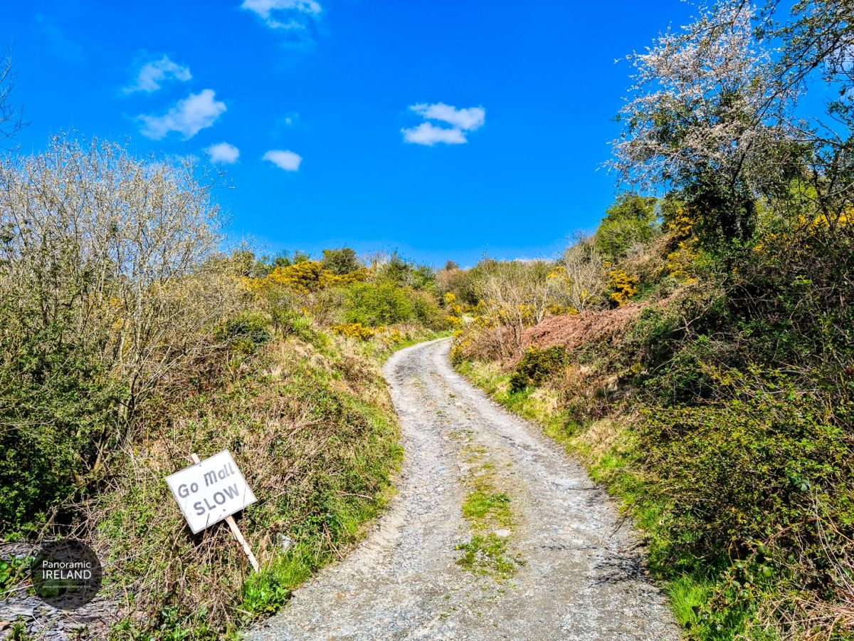 Travel Resumes in Ireland, Sort Of - Coronavirus / COVID-19 Update May 2021
