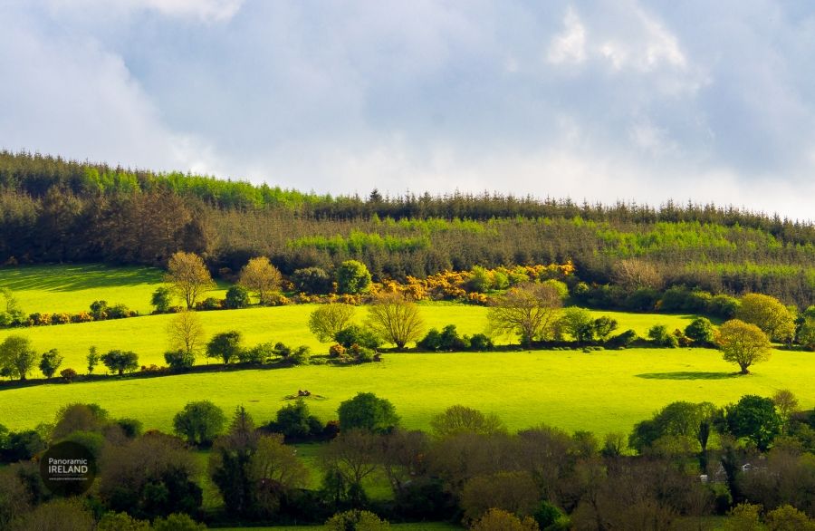Green Hillsides of Spring in Ireland