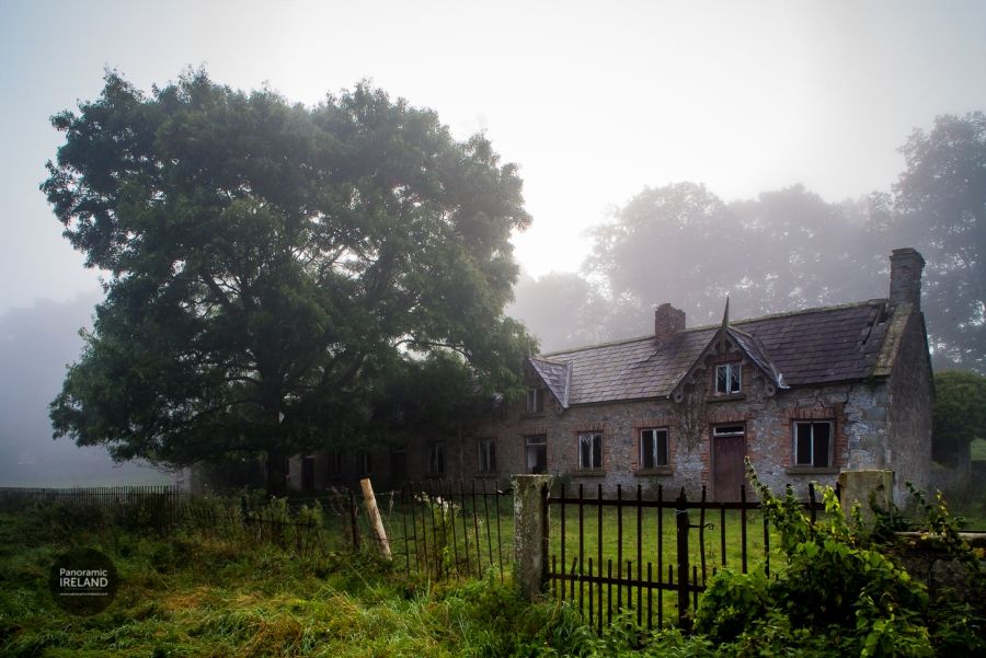 Foggy Days and Photography - Make the Most of Not Ideal Weather