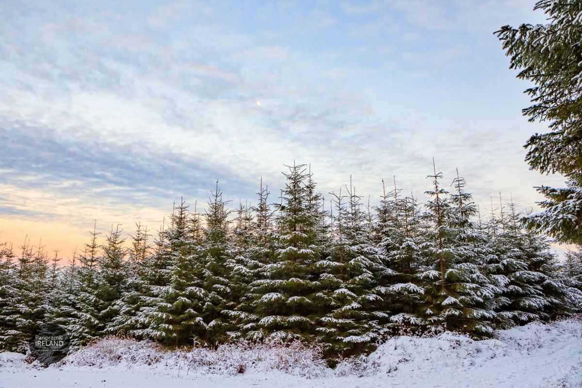 Snow in the Mountains, Ireland January 2021