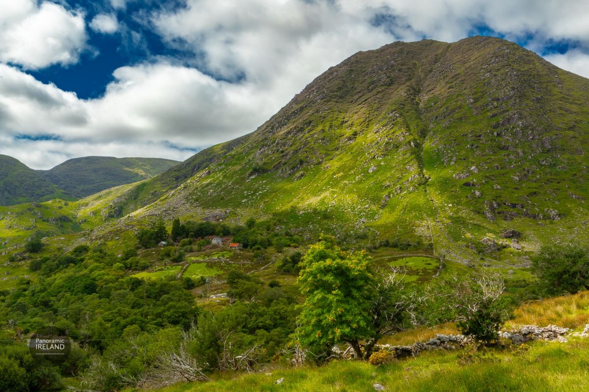 Mountain, Valley, Stone Walls and Rowan Tree