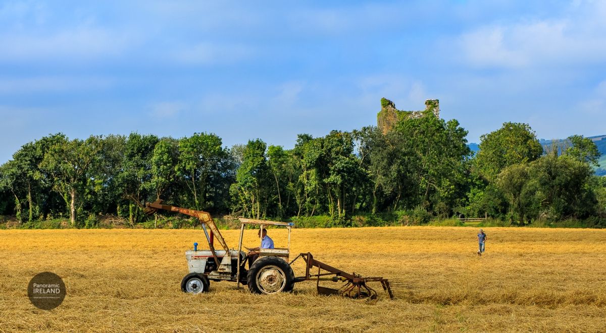 Spinning Hay in County Cork, Irish Farming Life