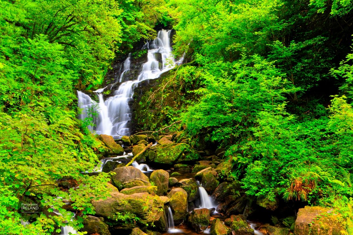 Torc Waterfall in Summer, County Kerry