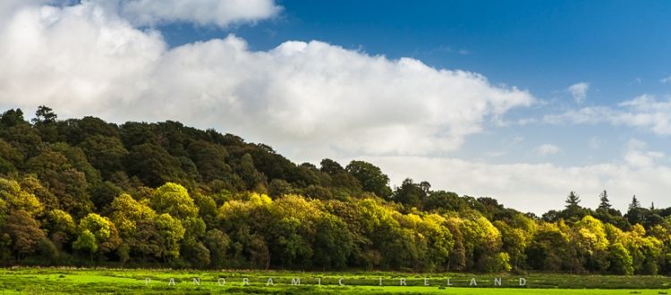 Autumn in Ireland