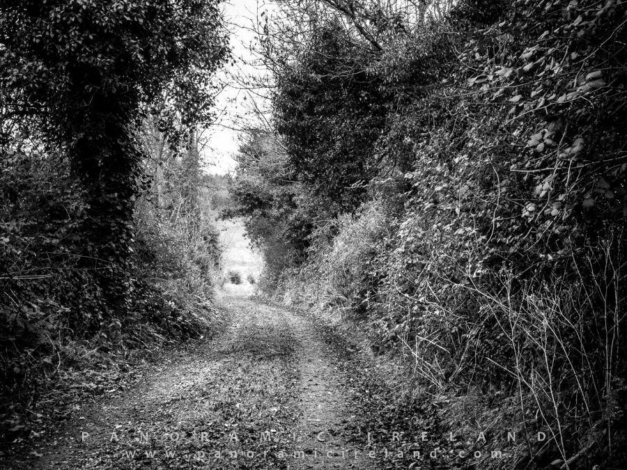 The Last Lanes of 2016