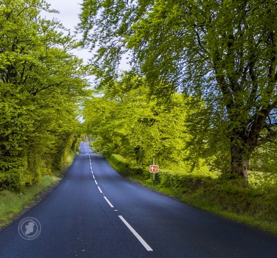 Out on the road, in Ireland