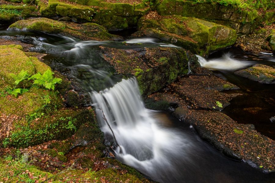 The woodland stream and waterfall, end of spring in Ireland