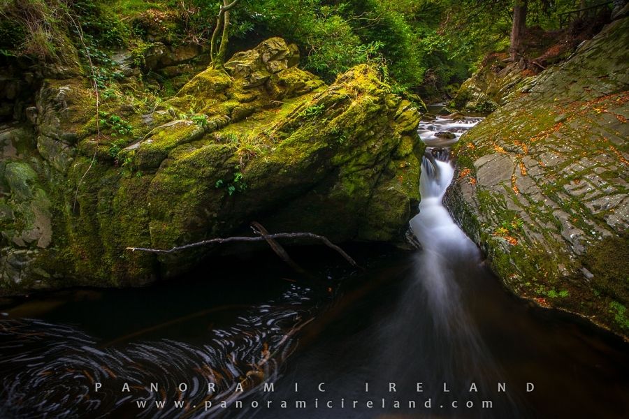 Flow and Swirl in the Woodland River