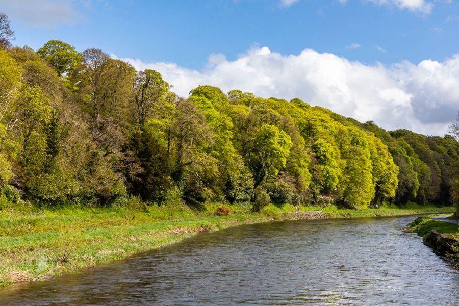 The Green River Landscape, Ireland