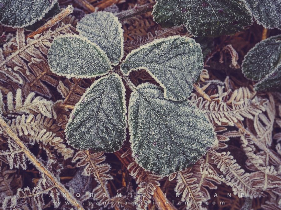 A Frosty Start