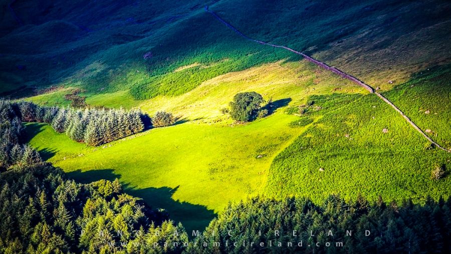 Wicklow Morning - early morning Irish light