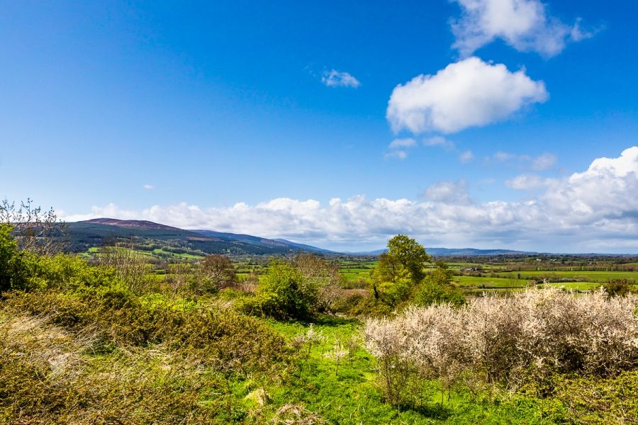 Ireland in May, Green and Sunny